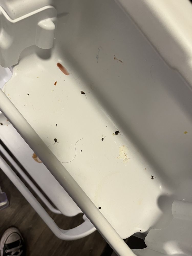 STONELEIGH APARTMENTS Updated 2024 19 Photos 2626 Thousand Oaks