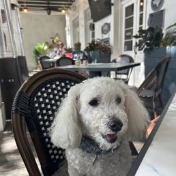 Pet Friendly! Pet Friendly!