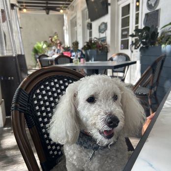 The Mess Around - Pet Friendly! - Southern Near Me - New Braunfels, Texas The Mess Around - Pet Friendly! - Southern Near Me - New Braunfels, Texas