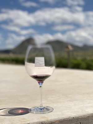 Los Milics Vineyards by null