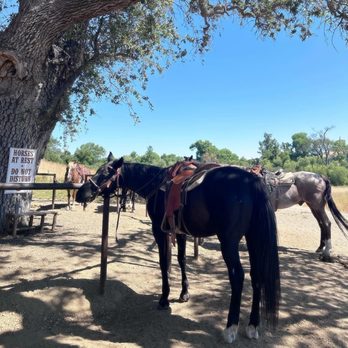 Central Coast Trailrides - My horse Pistol - Horseback Riding Near Me