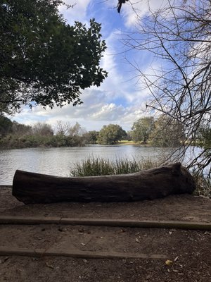 Couturie Forest by null