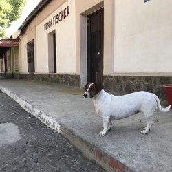 Victor's Restaurant