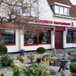 Daikichi - Daikichi in Alkmaar