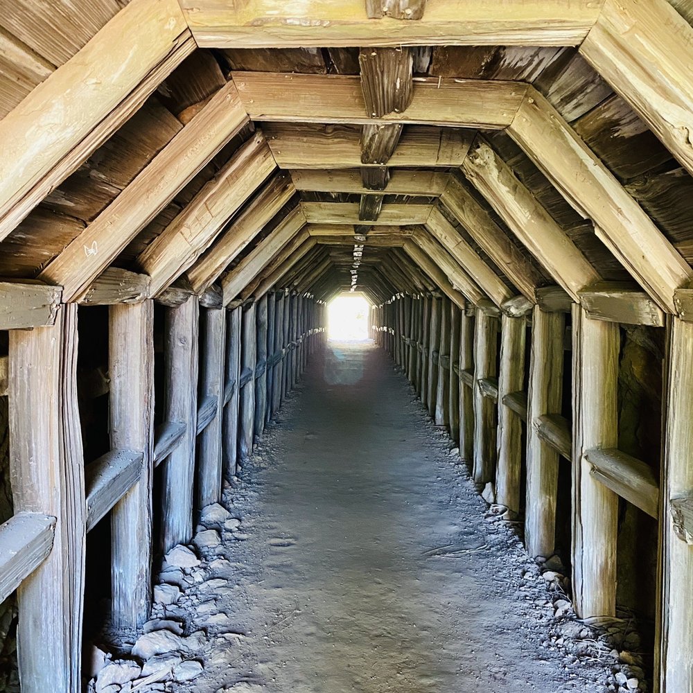Julia Pfeiffer Burns State Park - Tunnel to Partington cove - Parks Near Me - Big Sur, California