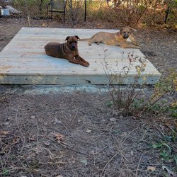 Volunteer Fences & Decks - Dog-approved new patio for their dog house. Owner approves of the great job by Volunteer Fences and Decks!