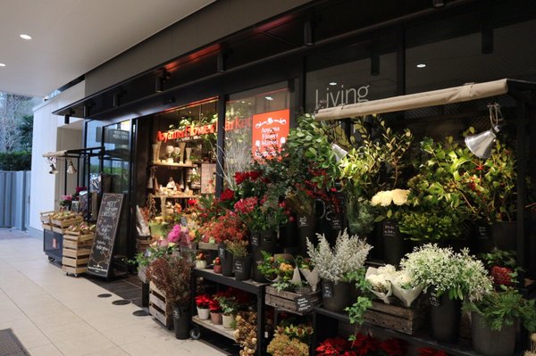 No261 三角お屋根のFLOWERS MARKET FRESH棚4段black No261 三角お屋根のFLOWERS MARKET FRESH棚4段black 観葉植物