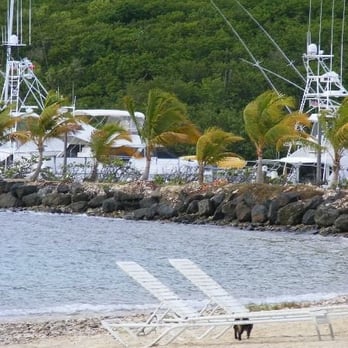 Sapphire Beach Resort - Where we read our books - Hotels Near Me - Saint Thomas, Virgin Islands