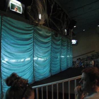Weeki Wachee Springs - The mermaid theater - Amusement Parks Near Me - Spring Hill, Florida Weeki Wachee Springs - The mermaid theater - Amusement Parks Near Me - Spring Hill, Florida