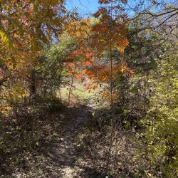 Buffalo Ridge Park - Extra trail