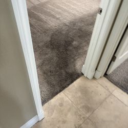 Revive Carpet Care