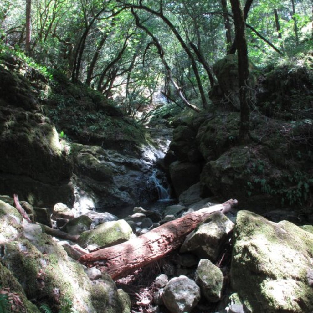 Cataract Falls Trail - Hiking Near Me Cataract Falls Trail - Hiking Near Me