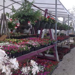 Hartke Nursery
