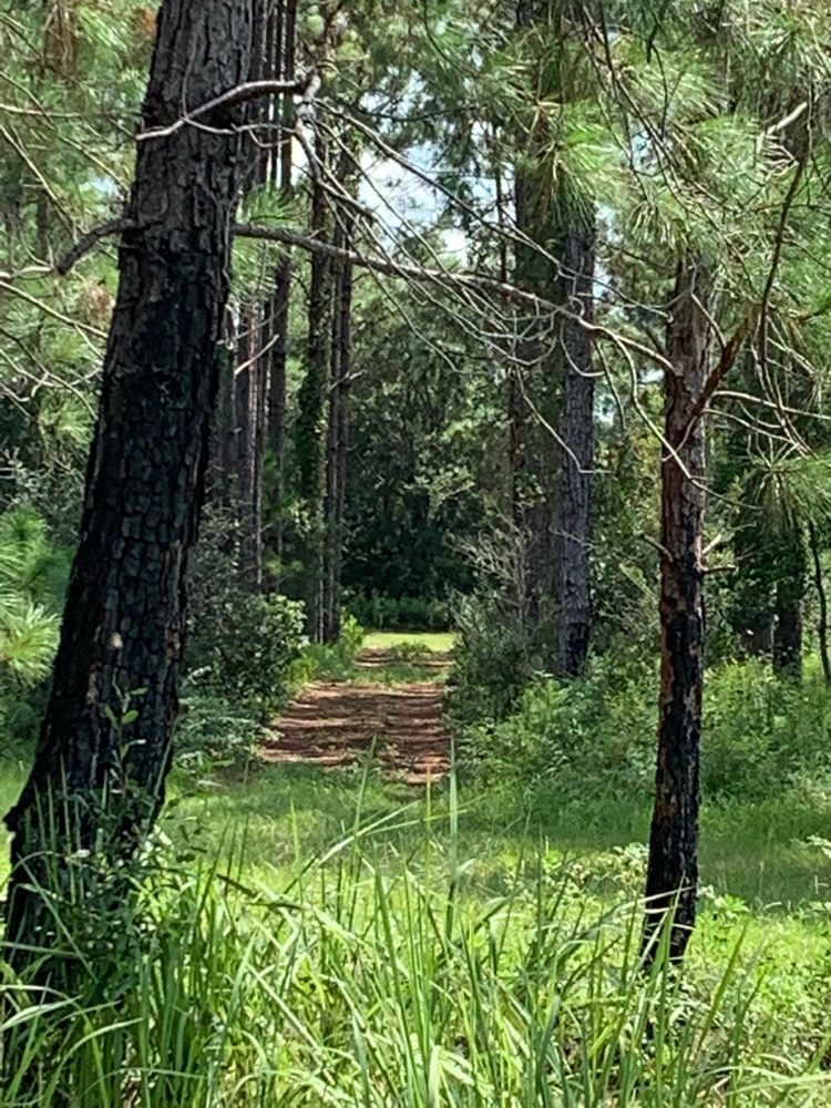 Fort Family Baymeadows Regional Park Image