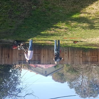 Stump Blaster - Quick and efficient workmanship - Tree Services Near Me - Sacramento, California Stump Blaster - Quick and efficient workmanship - Tree Services Near Me - Sacramento, California