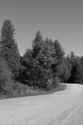 Rockwood Conservation Area by null