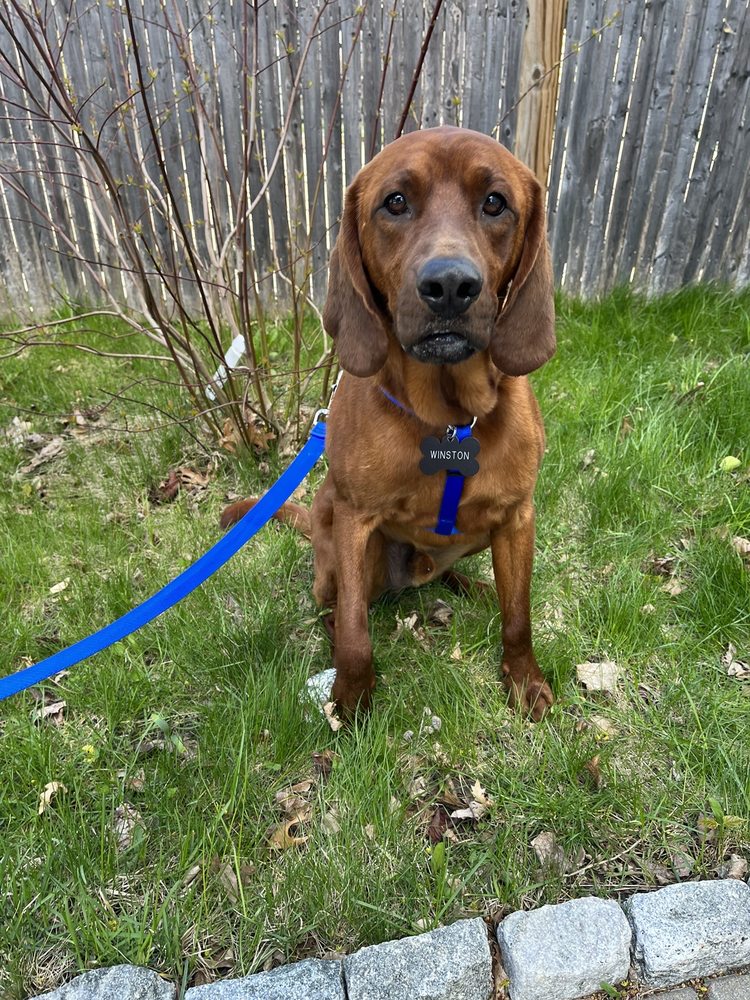 DELLARIA SALONS & SPA NEWTON 47 Photos & 117 Reviews Hair Salons