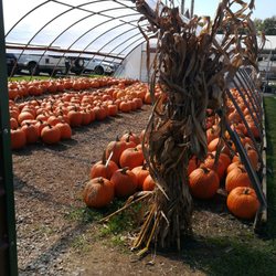 Barn'n Bunk Farm Market