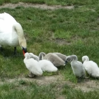 Coffey Geoscience - Wetland enthusiasts - Environmental Abatement Near Me - Salem, Oregon
