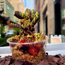 Bliss Bowls Acai