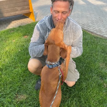 Zen Your Dog - Addie's recent training session with Art - Pet Training Near Me