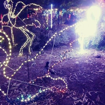 Zoolights - Zoos Near Me - Phoenix, Arizona
