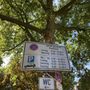 Photo of Parkplatz Marktplatz Werden