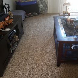 My carpet looks so pretty thanks Michael