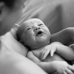 Blue Dream Birth Services