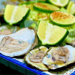 Mariscos Oceano Azul - OSTIONES  EN SU CONCHA