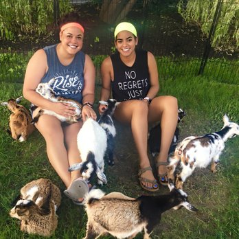 ATX Goat Yoga - Yoga Near Me - Bastrop, Texas ATX Goat Yoga - Yoga Near Me - Bastrop, Texas