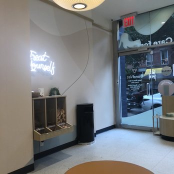 Bond Vet - Park Slope - Free treats - Veterinarians Near Me - Brooklyn, New York