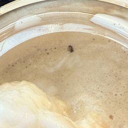 Bugs in drink