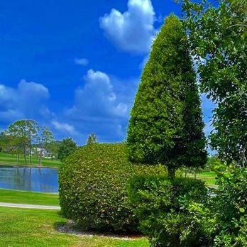 Edge Lawn Care - a view of a pond and trees - Landscaping Near Me Edge Lawn Care - a view of a pond and trees - Landscaping Near Me
