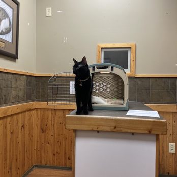 Tudor Glen Veterinary Hospital - Room - Veterinarians Near Me - St Albert, Alberta Tudor Glen Veterinary Hospital - Room - Veterinarians Near Me - St Albert, Alberta
