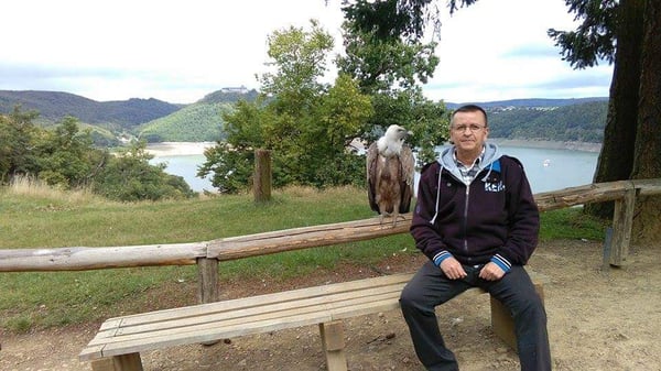 Wildpark Edersee by null