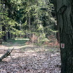 Dresdener Heide