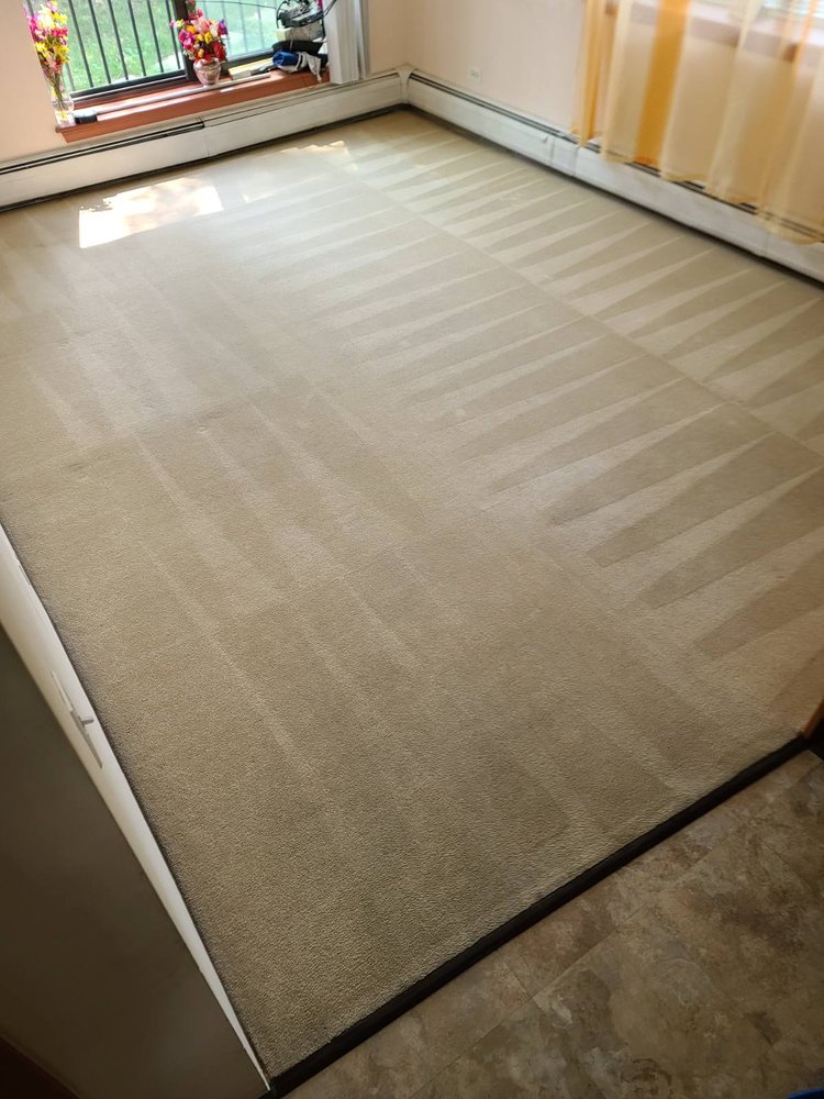 Photos of NEPTUNE CLEANING Updated August 2024 13 Photos Chicago