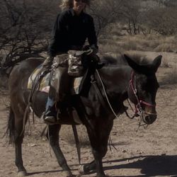 Tombstone Trail Rides with Penny