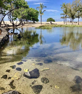 Makalawena Beach by null