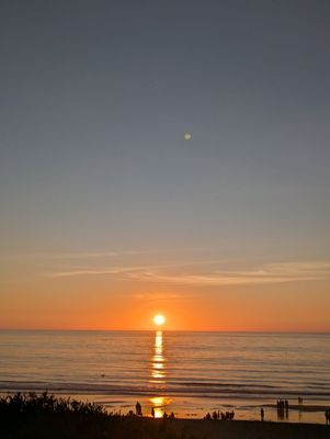 Fletcher Cove Beach Park by null