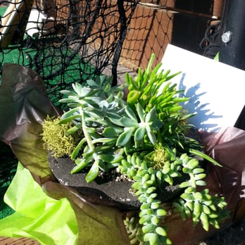 Green Door Design - Here's the beautiful bowl that Susie created just for my friend. By now it's off the doorstep and being admired - she loves it. - Florists Near Me - Mill Valley, California