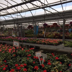 Petitti Garden Centers