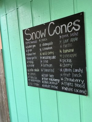Armadillo Snow Cones by null
