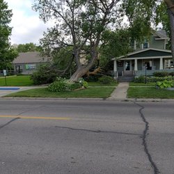 Nebraska Treeworks - Fallen Tree