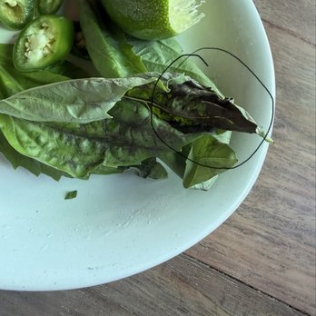 Otro Cafe - Veggie not even fresh - Mexican Near Me - Phoenix, Arizona