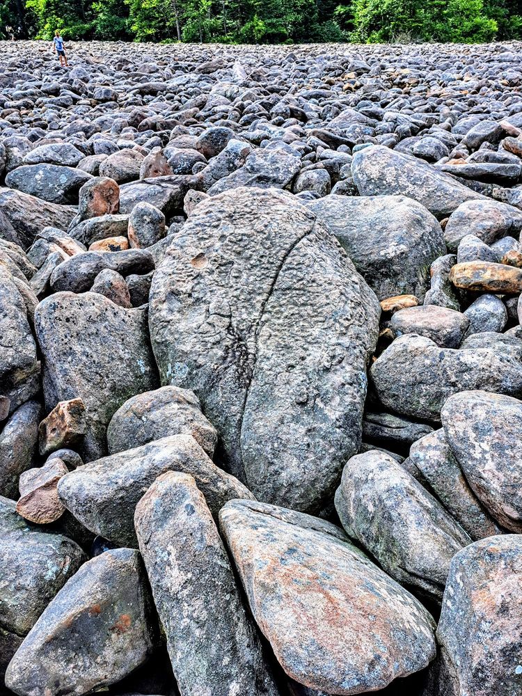 Boulder Field Logo