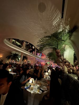 The Jazz Café | Cipriani Beverly Hills by null