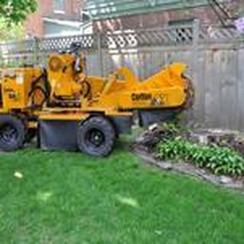 J & J Tree Services - untitled - Tree Services Near Me J & J Tree Services - untitled - Tree Services Near Me