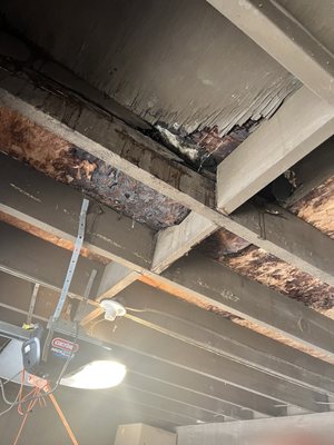 Top Tier Roofing Logo